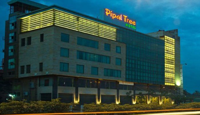 pipaltreehotel